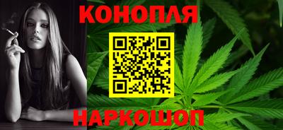 стафф Новокубанск