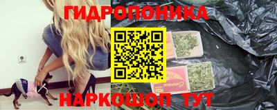 ALPHA PVP Новозыбков
