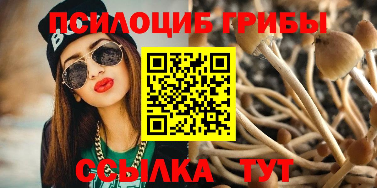 Пугачёв  Псилоцибиновые грибы Magic Shrooms  Вход с VPN 